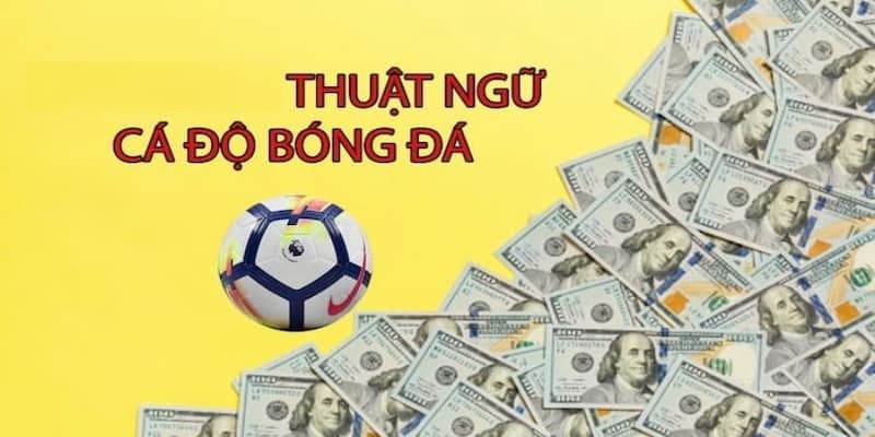 Thuật ngữ cá độ bóng đá Bí quyết đọc hiểu thuật ngữ cá độ bóng đá nhanh và chuẩn