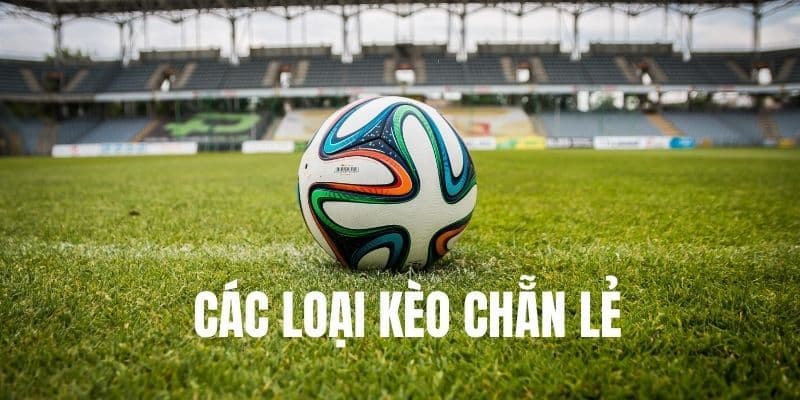 Kèo chẵn lẻ Các loại kèo chẵn lẻ phổ biến tại nhà cái