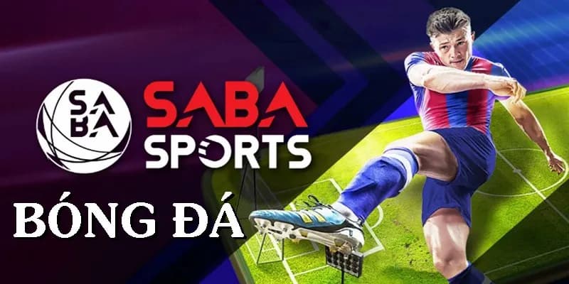 Bóng đá Saba là gì Cách chơi bóng đá Saba là gì?