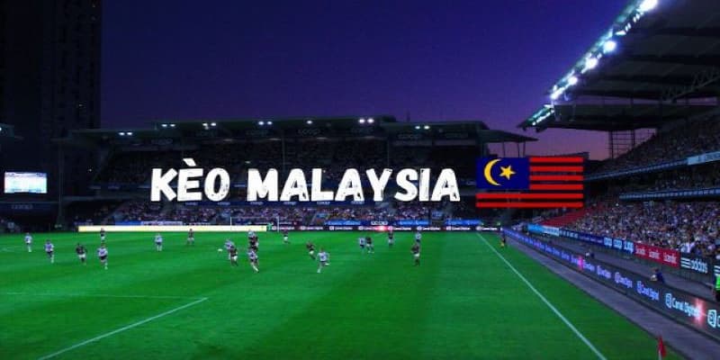 Tỷ lệ kèo Malaysia Cách đọc tỷ lệ kèo Malaysia chính xác