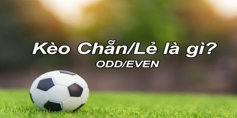 Kèo chẵn lẻ Kèo chẵn lẻ là gì và tại sao nó được ưa chuộng?
