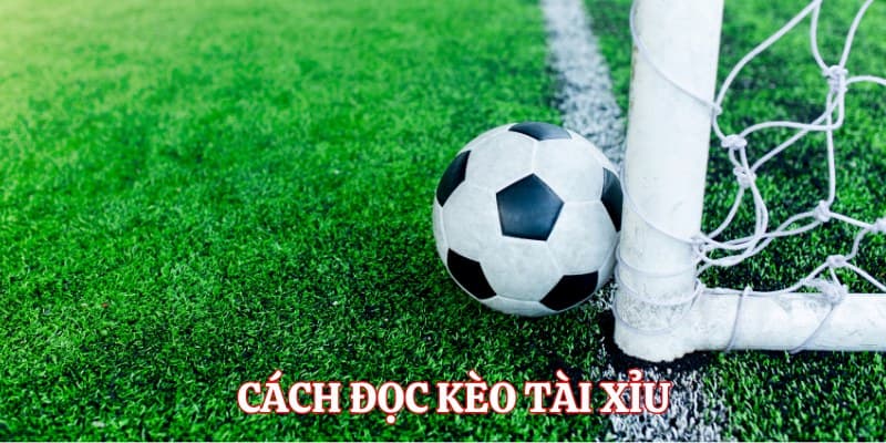 Kèo tài xỉu Kinh nghiệm đọc kèo tài xỉu chuẩn xác từ chuyên gia