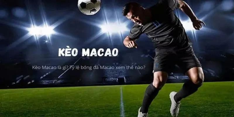 Kèo macao Lý do kèo macao được yêu thích trong giới cá độ