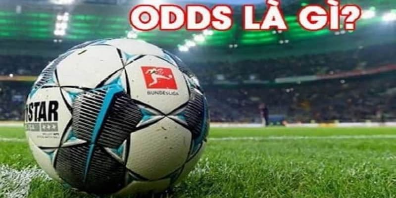 Odds trong bóng đá là gì