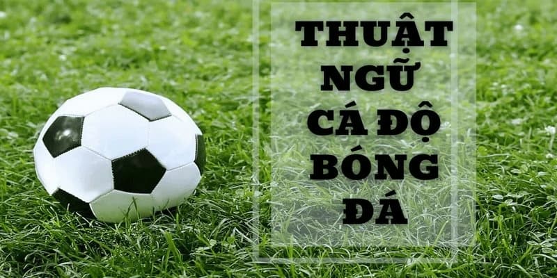 Thuật ngữ cá độ bóng đá Phân loại chi tiết các thuật ngữ cá độ bóng đá