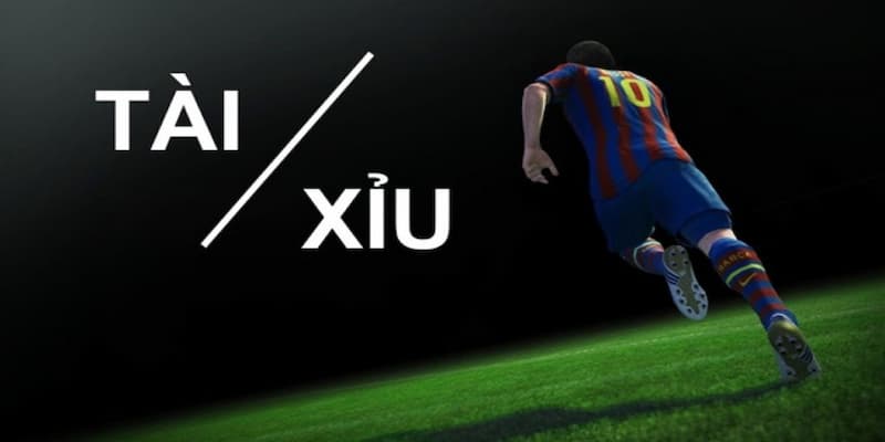 Soi kèo tài xỉu