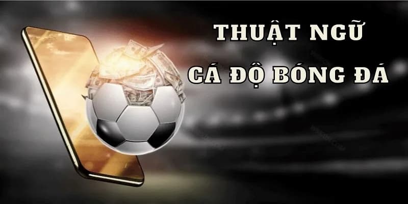 Thuật ngữ cá độ bóng đá Tại sao cần hiểu rõ các thuật ngữ cá độ bóng đá?