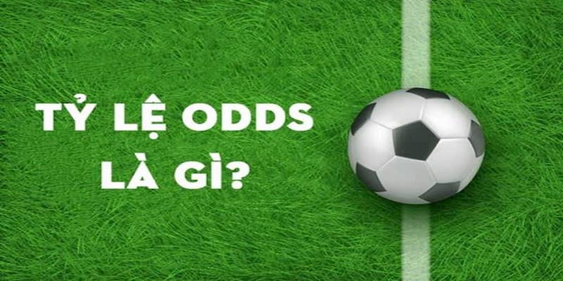 Odds trong bóng đá là gì Tổng quan về odds trong bóng đá là gì?